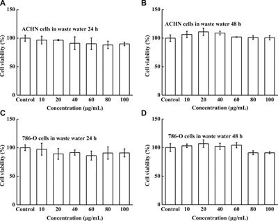 Lubrication Performances of Carbon-Doped MoSe2 Nanoparticles and Their Biocompatibility Characterization In Vitro